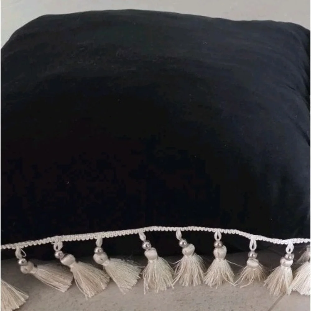 Set 2 Black Velvet Throw Pillows Tassel Fringe Gothic Romantic Dark Boho Chic